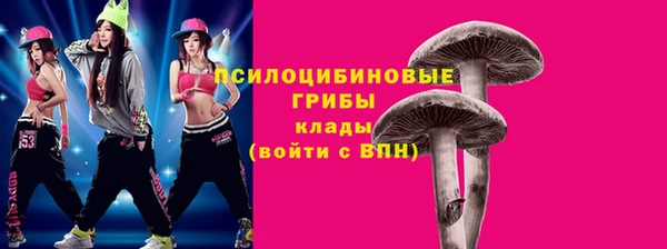 spice Алексеевка