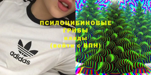 Альфа ПВП Алексин