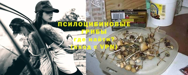 spice Алексеевка